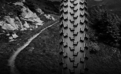 Continental Cross King 29 x 2.3 rehv, traadiga