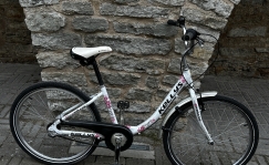 Kasutatud Kellys Maggie, 24-tolline