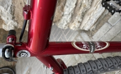 Beloved Schwinn Sierra bicycle